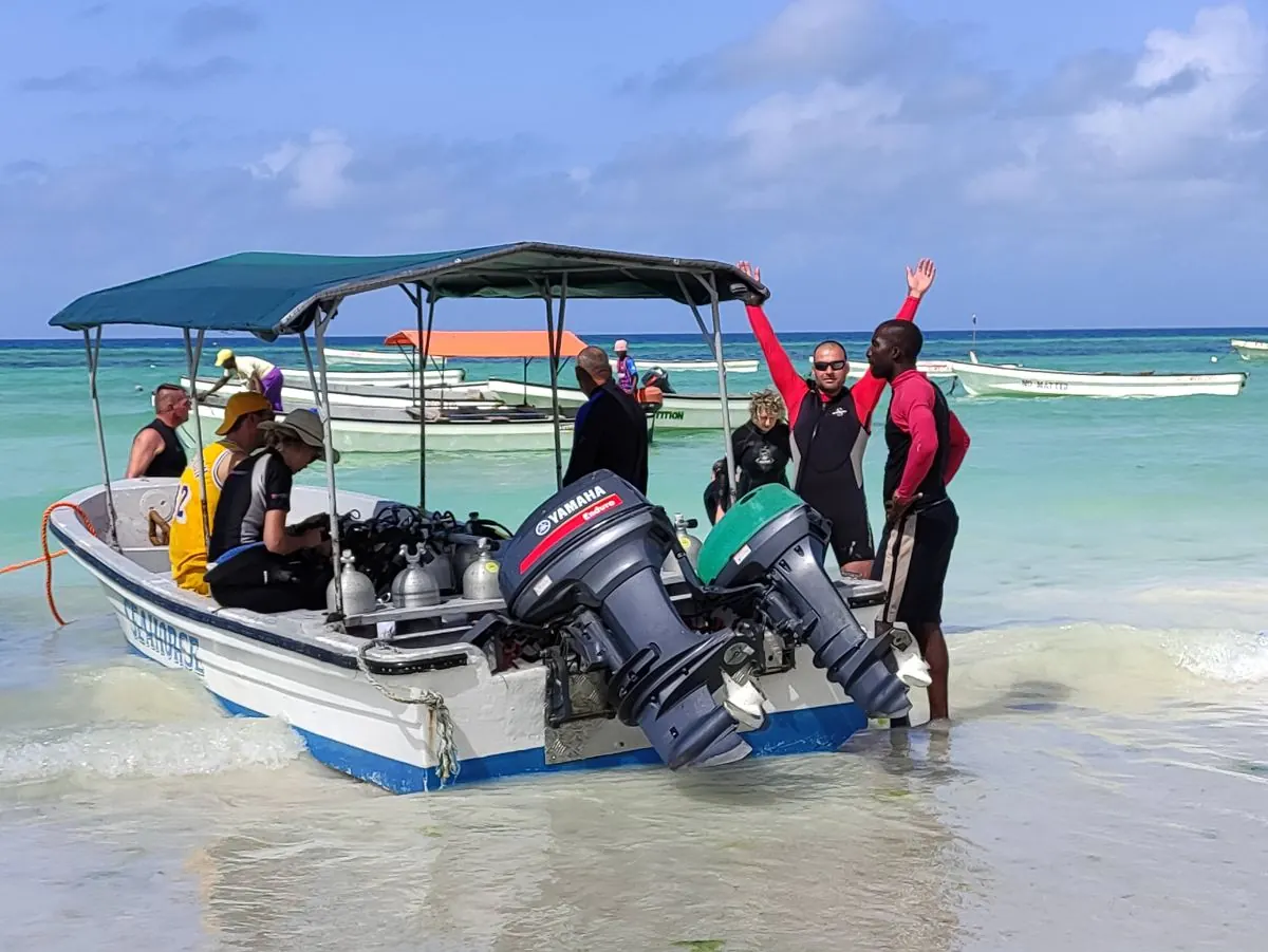 Gallery – DiveTime Zanzibar, Kizimkazi (1)