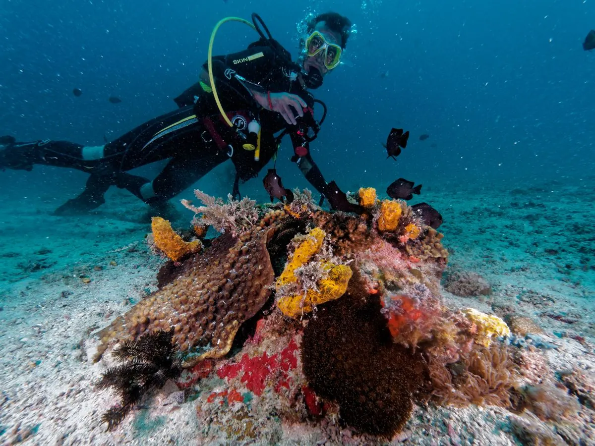 Gallery – DiveTime Zanzibar, Kizimkazi (13)