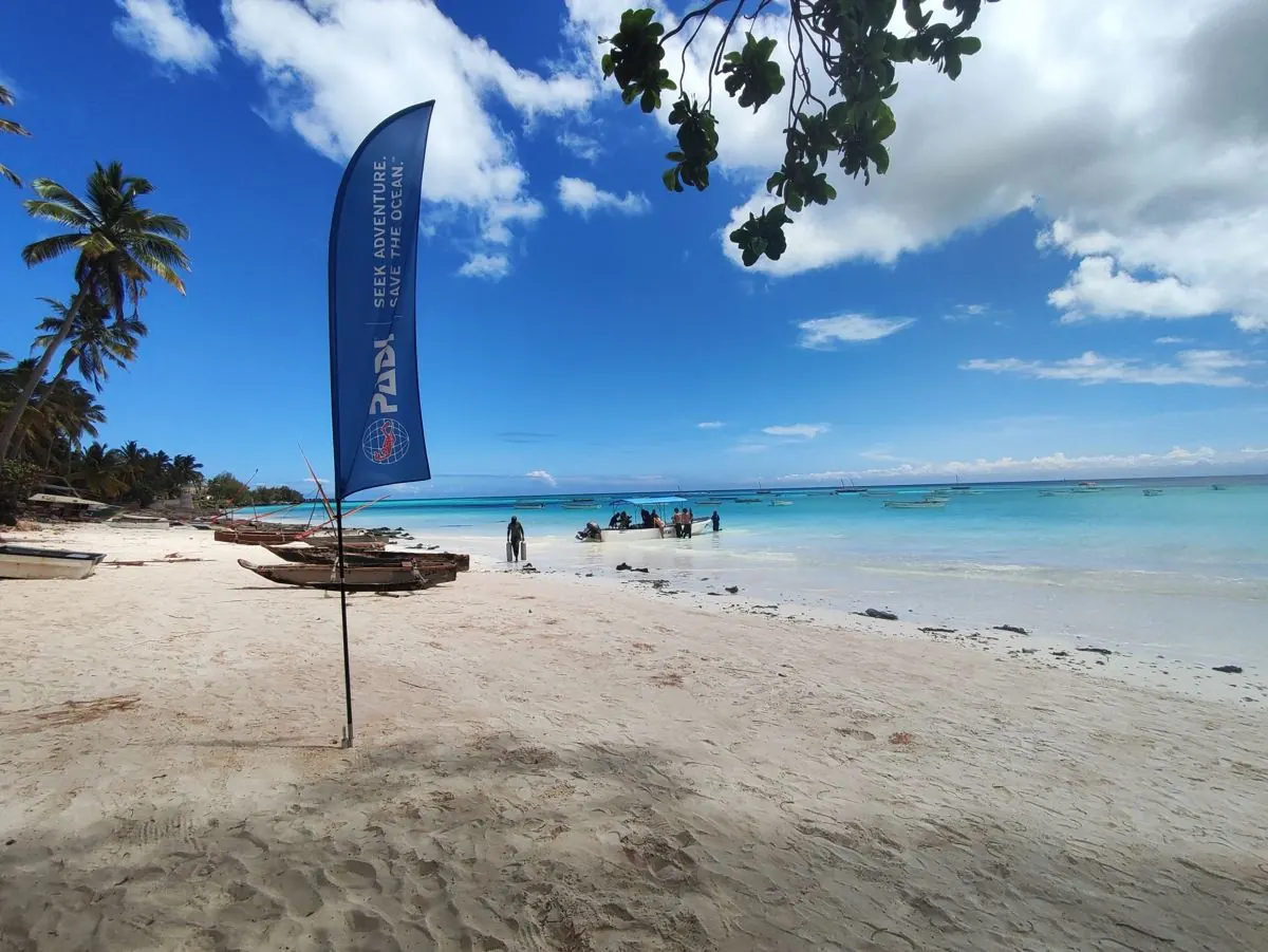 Gallery – DiveTime Zanzibar, Kizimkazi (24)