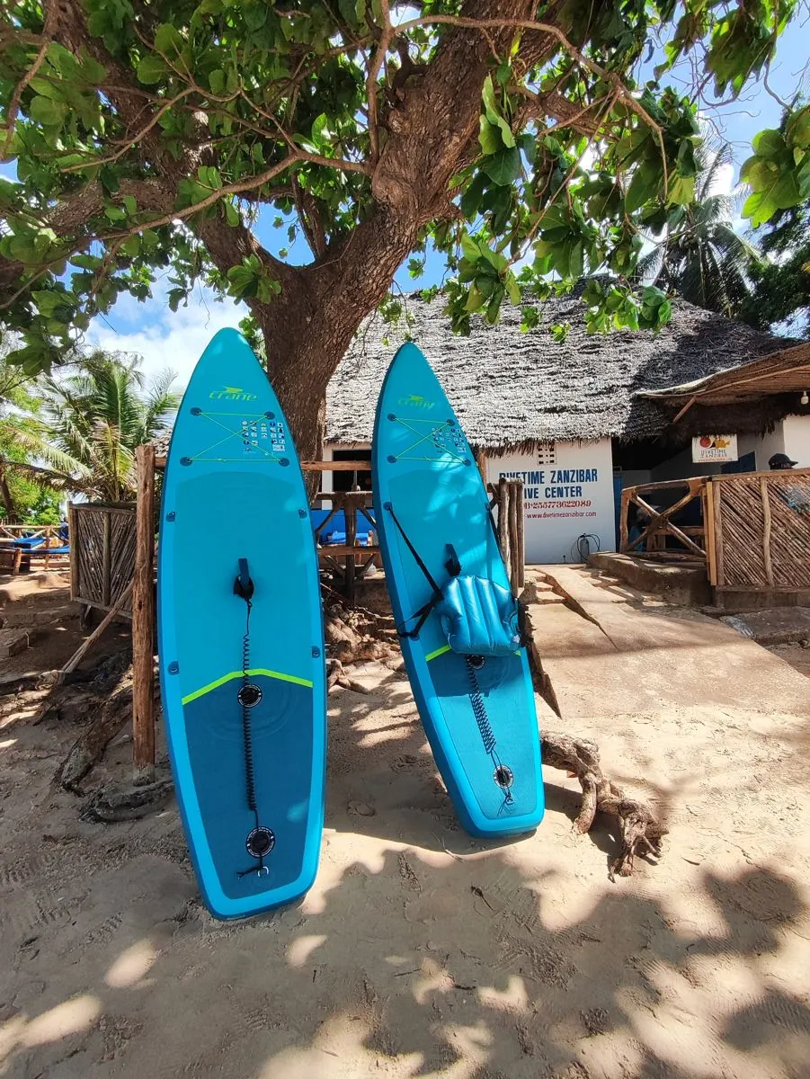 Gallery – DiveTime Zanzibar, Kizimkazi (25)