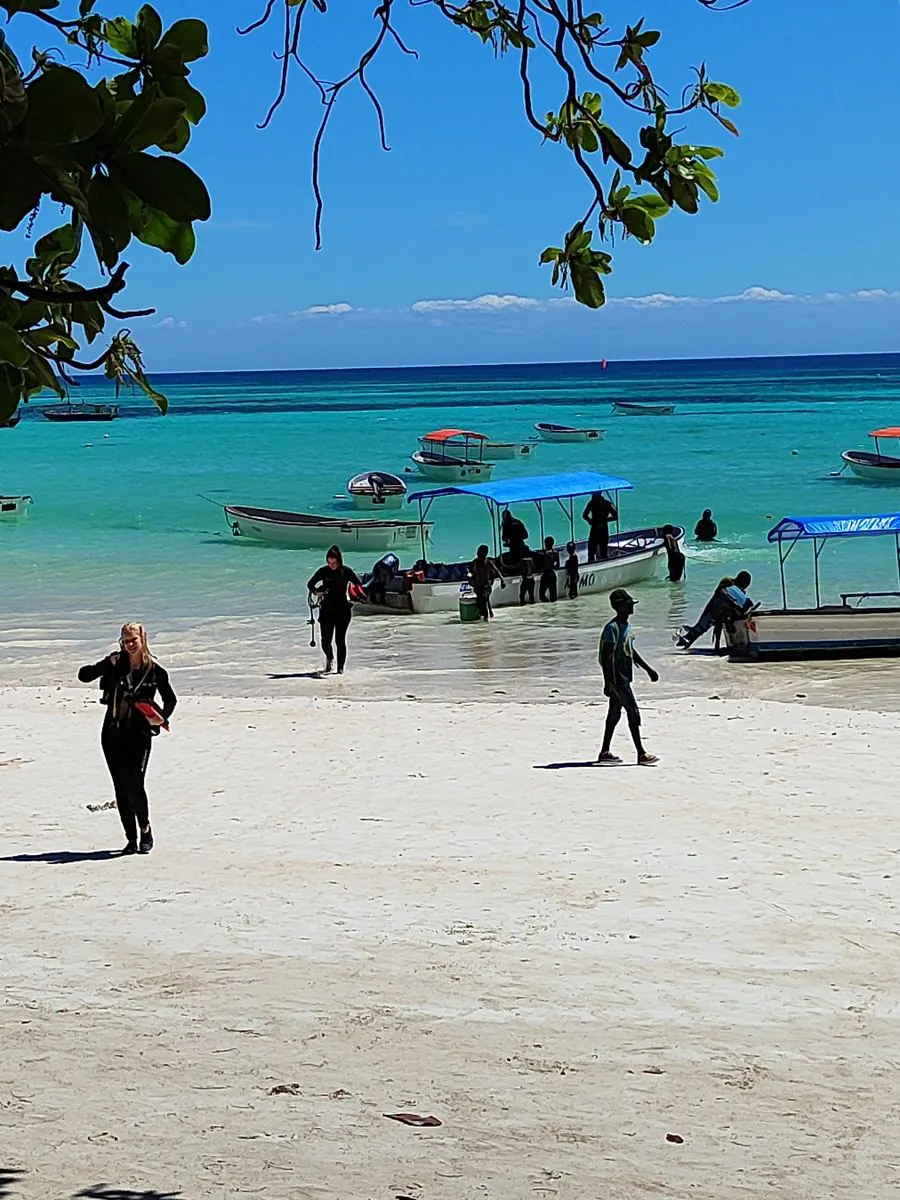 Gallery – DiveTime Zanzibar, Kizimkazi (26)