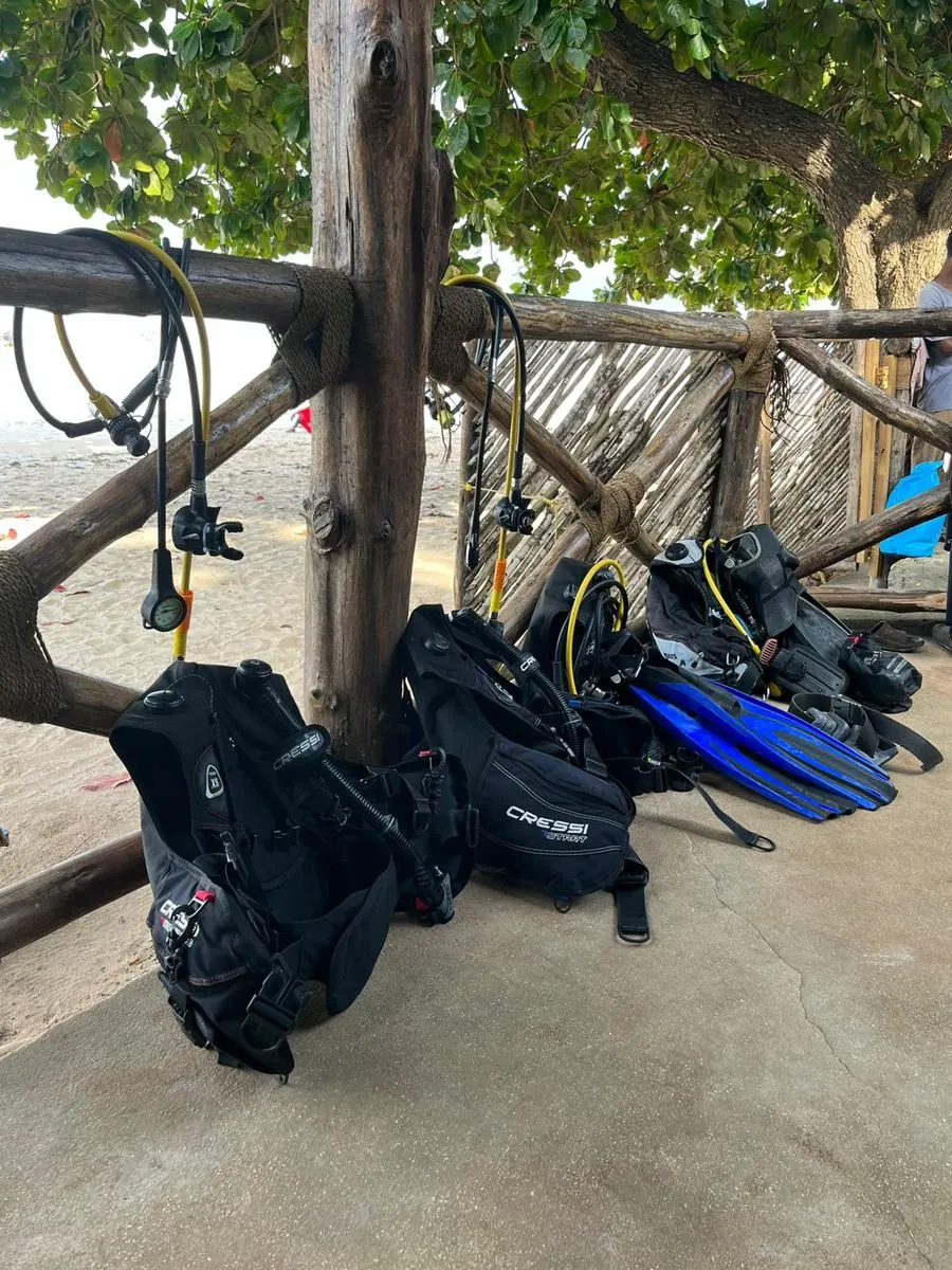 Gallery – DiveTime Zanzibar, Kizimkazi (27)