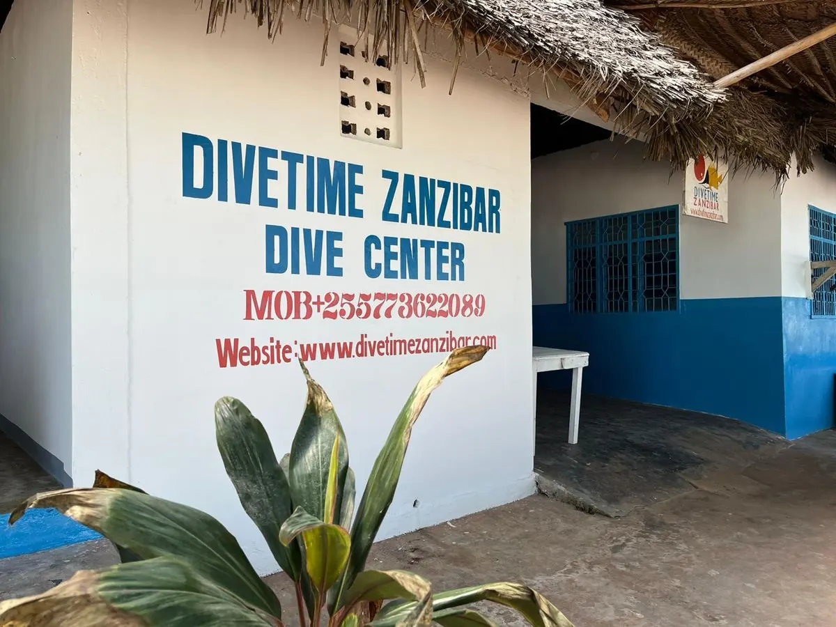 Gallery – DiveTime Zanzibar, Kizimkazi (28)