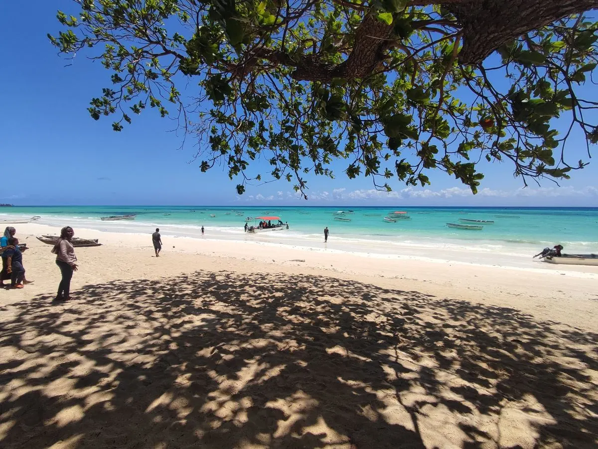 Gallery – DiveTime Zanzibar, Kizimkazi (34)