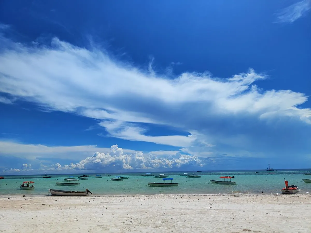 Gallery – DiveTime Zanzibar, Kizimkazi (35)